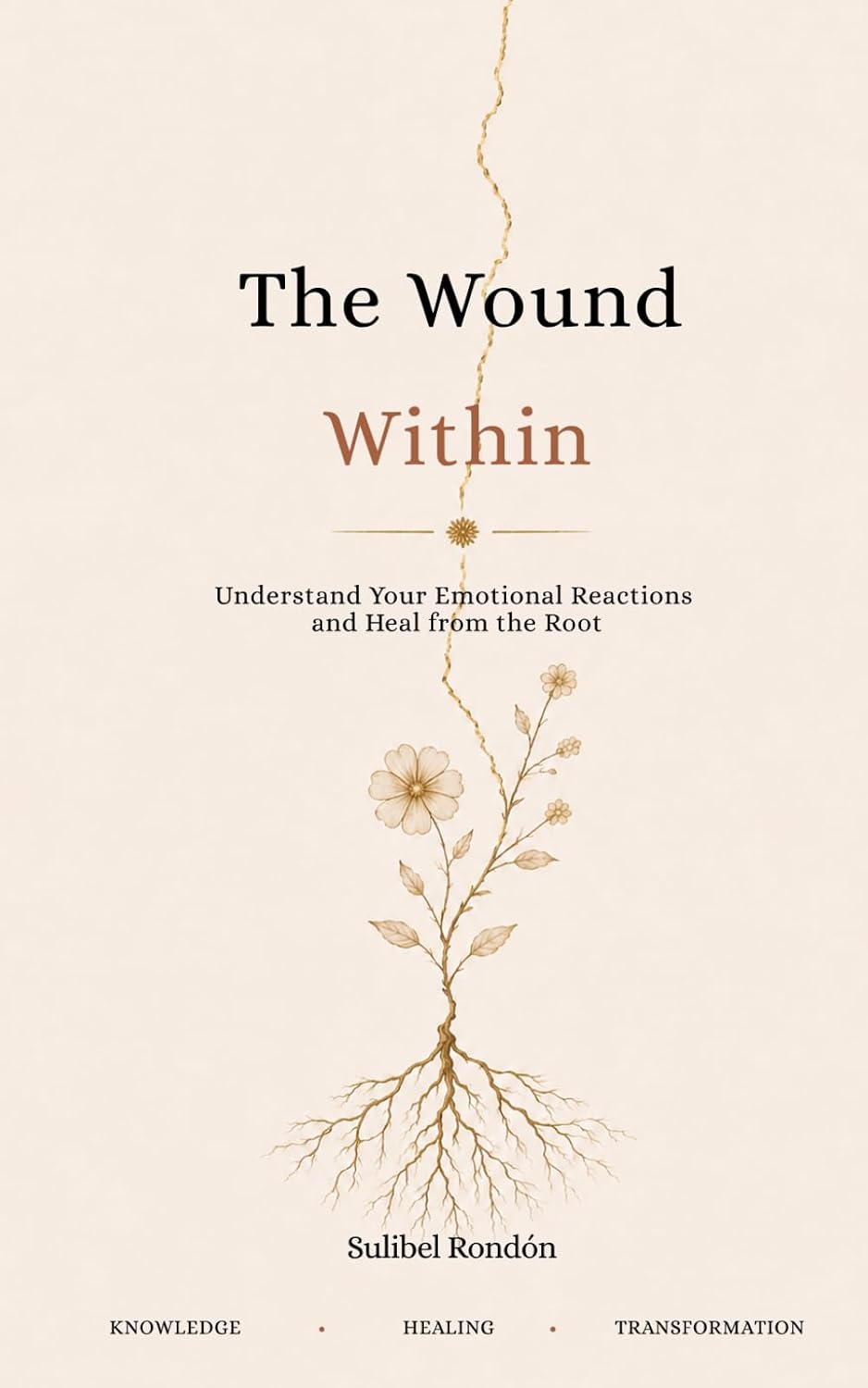 The Wound Within: Understand your Emotional Reactions and Heal from the Root baixar o livro de graça