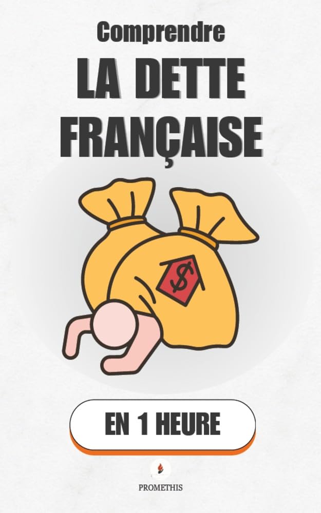 Comprendre la dette française, en 1 heure: Déficit, impôts, services publics: Ce que signifient vraiment les déficits — et les scénarios qui nous attendent.... - Économie & société 5) (French Edition) baixar livro de graça