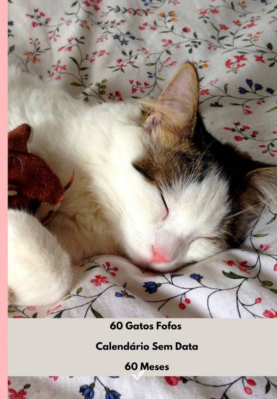 Calendário Sem Data para Fãs de Gatos: 60 meses - Colorido - Sem Orelha baixar o livro de graça