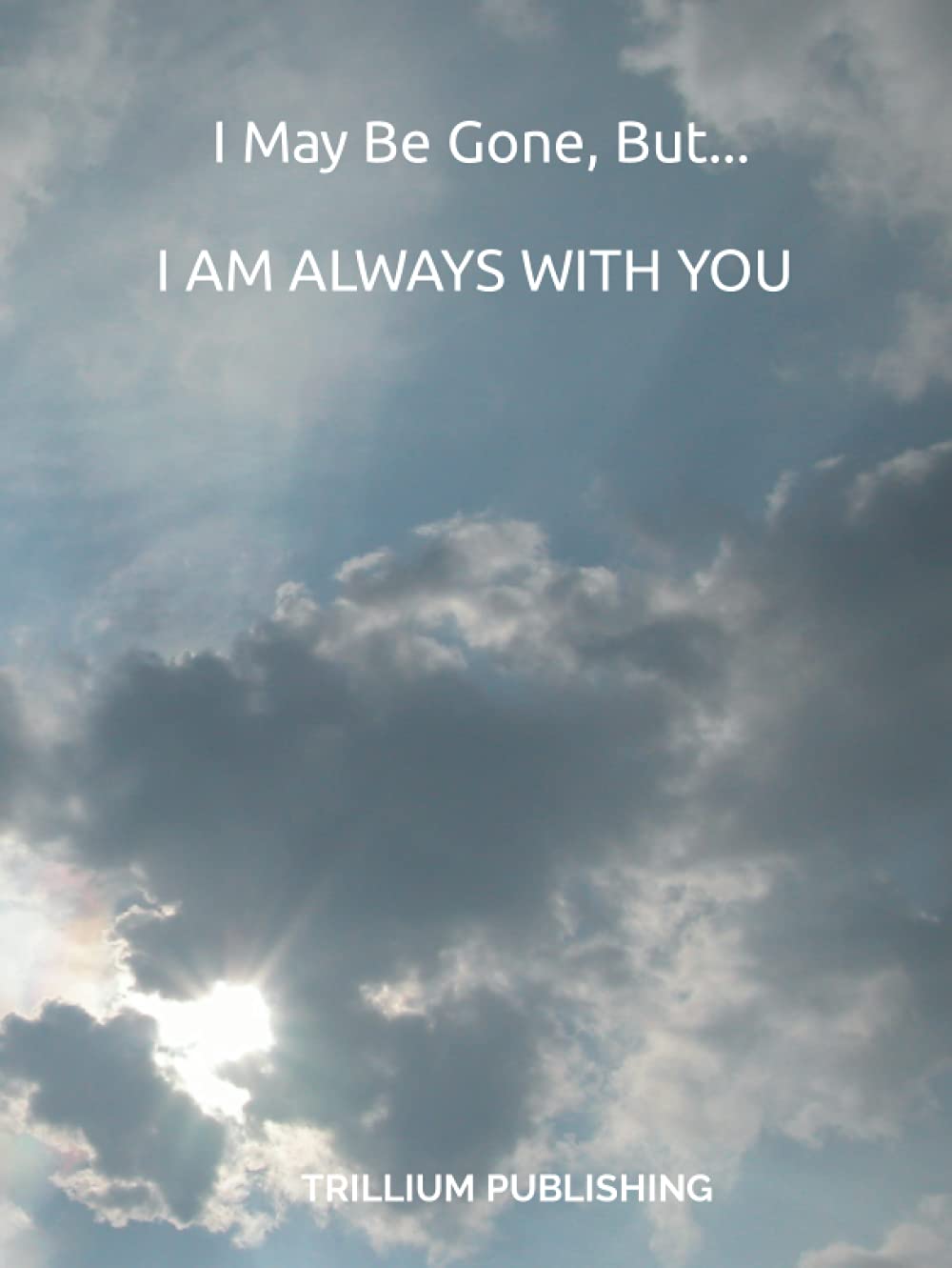 *I May Be Gone… But I Am Always with You*: Putting Things in Order for My Family for Peace of Mind (Will Planning Workbook & Last Wishes Organizer, 8.5x11) baixar livro de graça