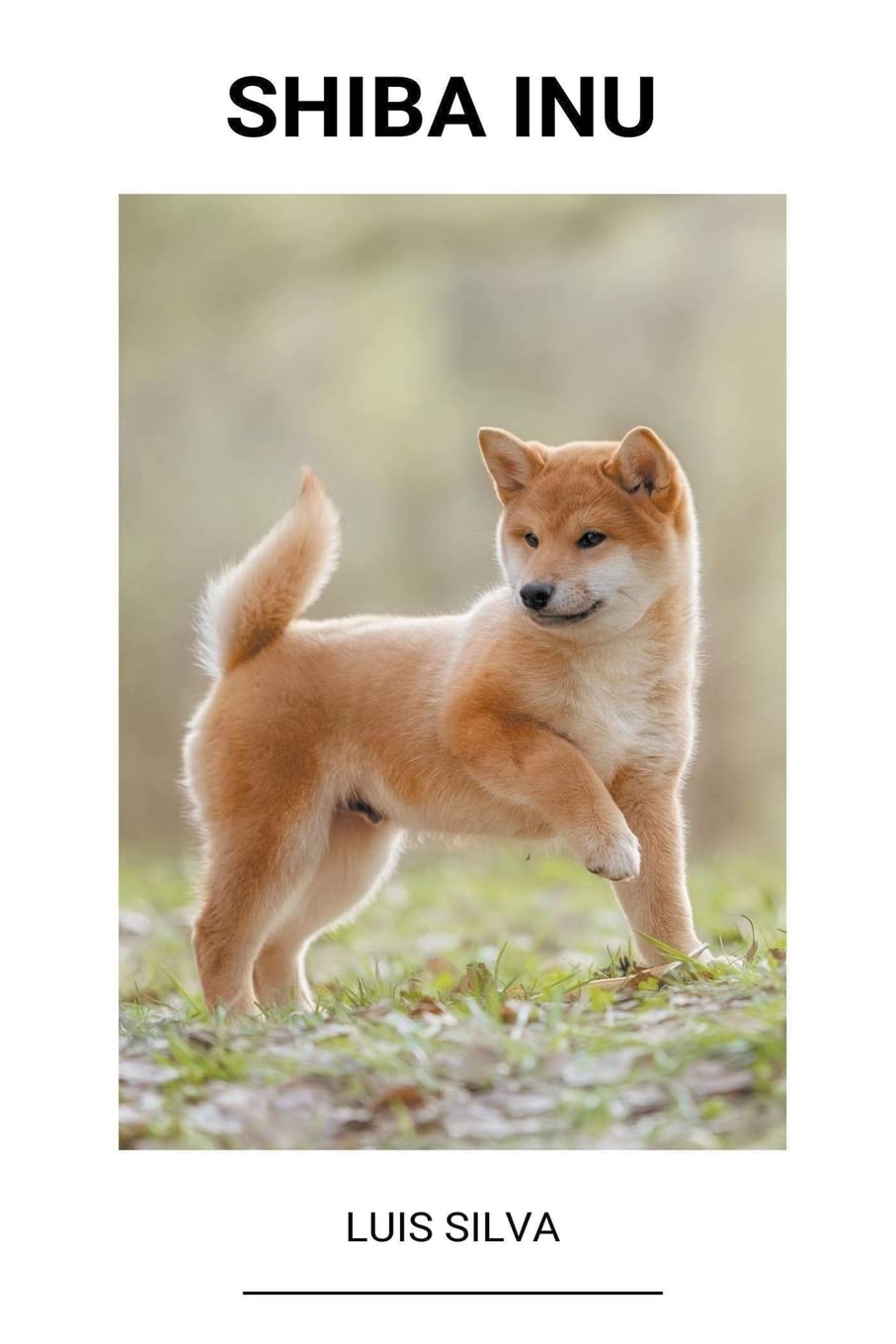 capítulo por capítulo baixar Shiba Inu