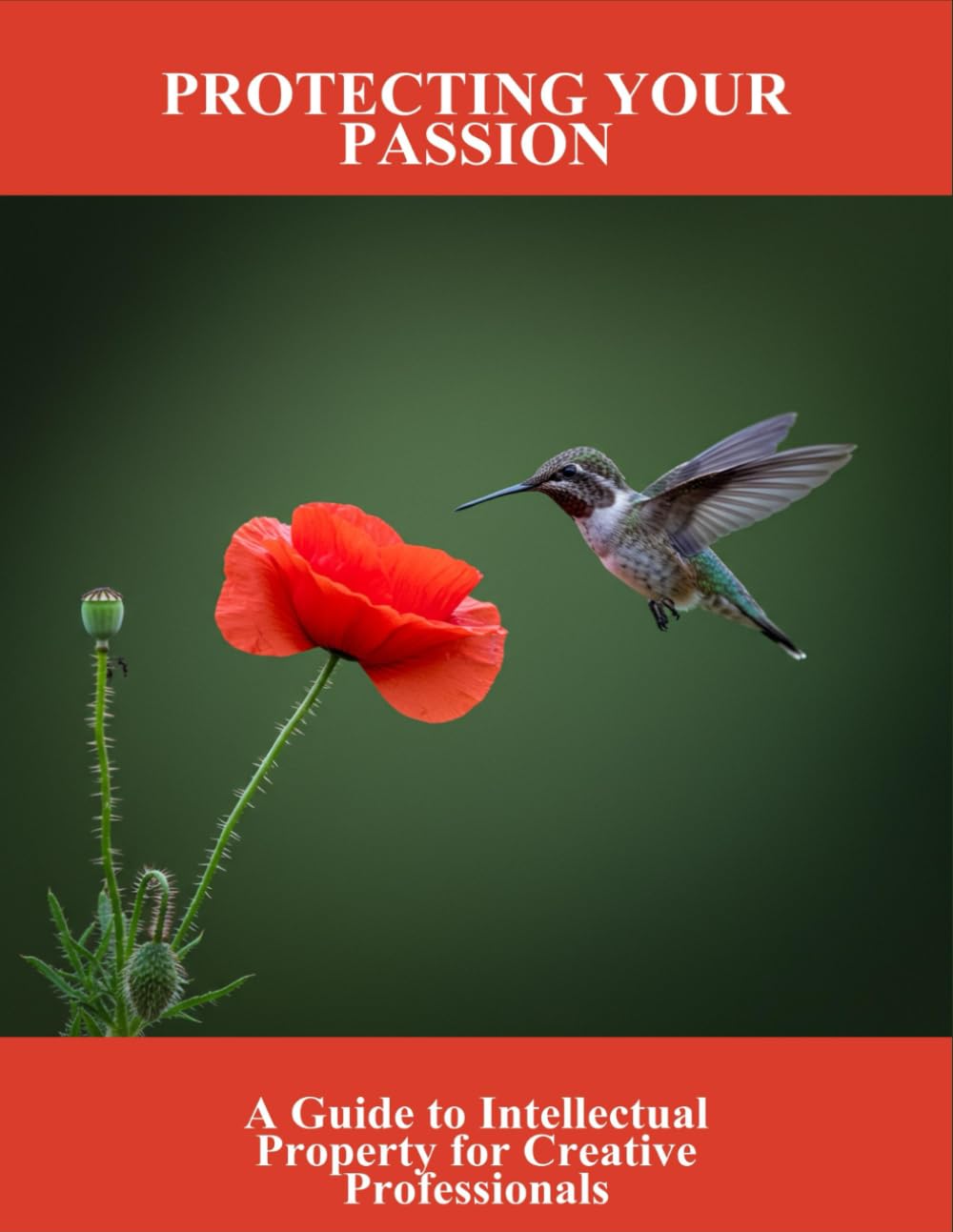 Protecting Your Passion: A Guide To Intellectual Property For Creative Professionals baixar o livro de graça