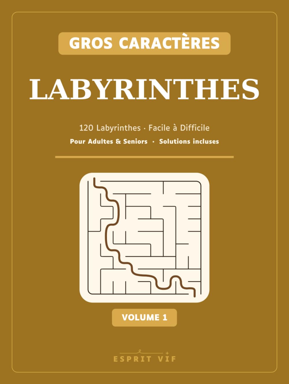 Labyrinthes Gros Caractères: 120 labyrinthes de Facile à Difficile · Grand format pour adultes et seniors · Solutions incluses (Volume 1) (Esprit Vif — Labyrinthes Gros Caractères) (French Edition) baixar livro de graça