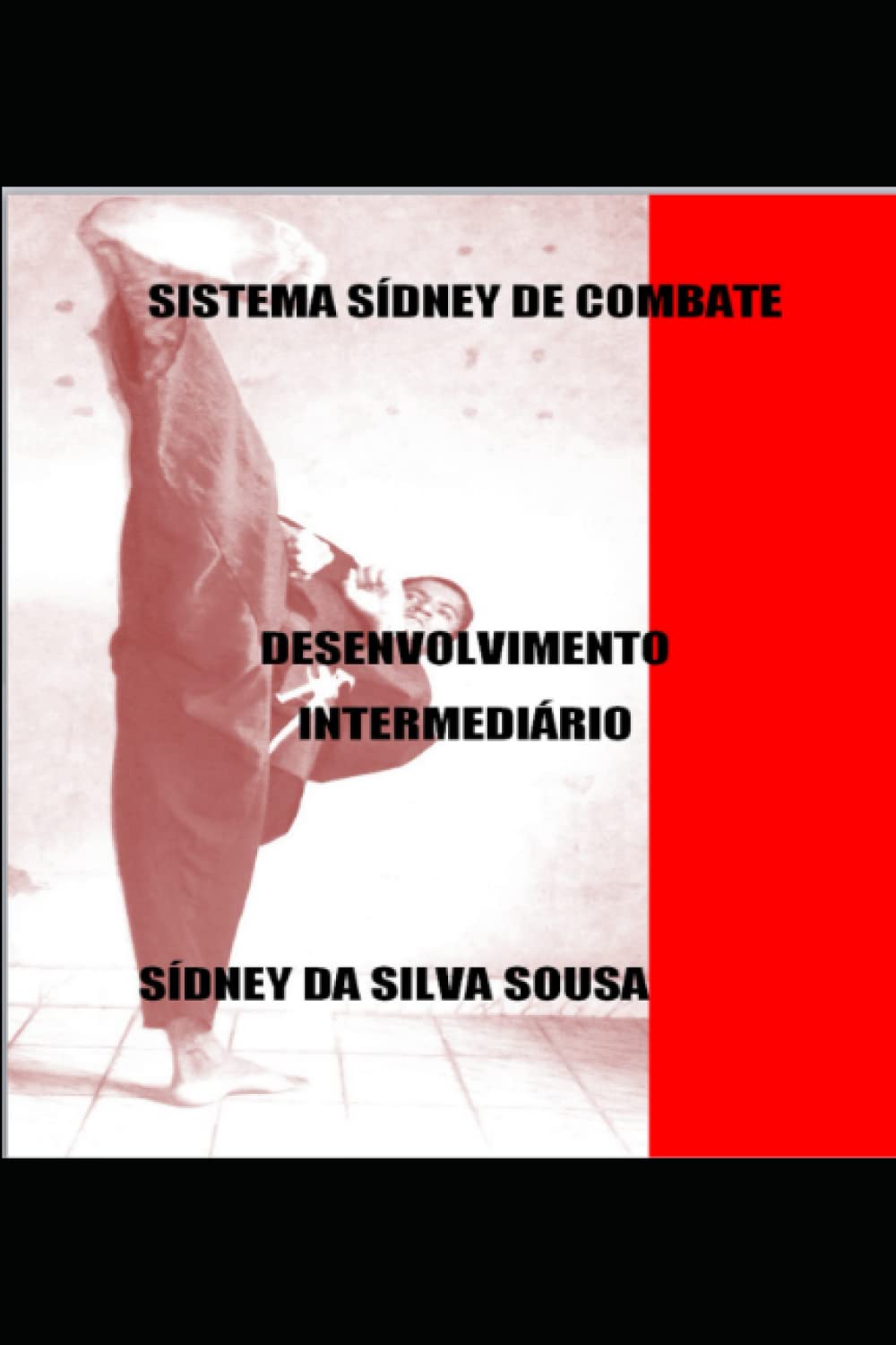 SISTEMA SÍDNEY DE COMBATE VOLUME 2 (Portuguese Edition) baixar o livro de graça
