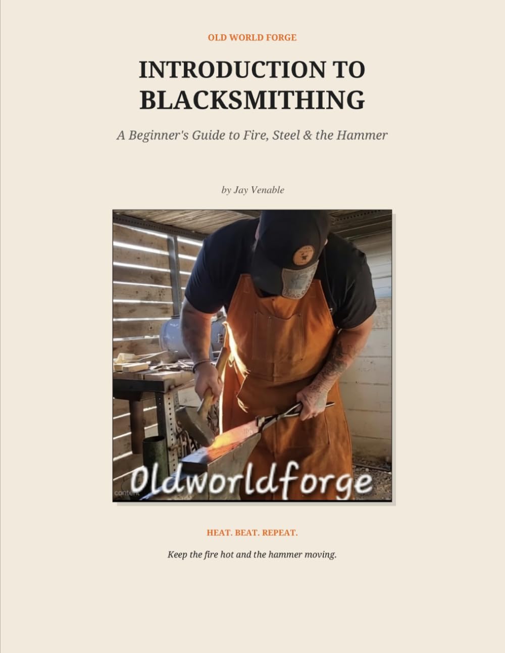 ler totalmente Introduction to Blacksmithing