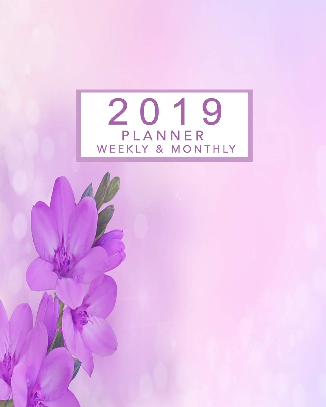 ler totalmente 2019 Planner Weekly and Monthly: 2019 Calendar Planner and Monthly Schedule Organizer, Appointment Book and Daily Planner for January 2019 Through December 2019