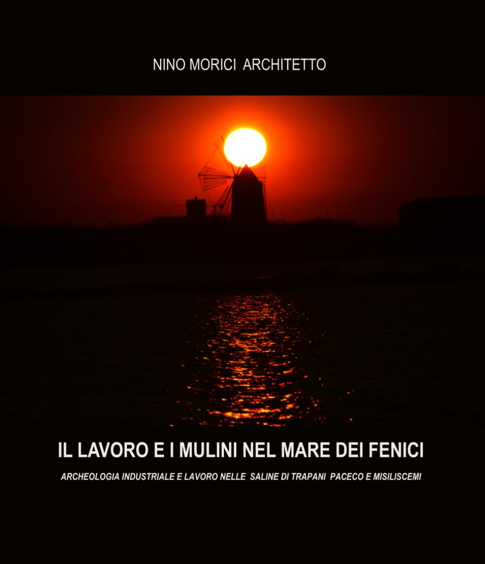 IL LAVORO E I MULINI NEL MARE DEI FENICI: archeologia industriale e lavoro nelle saline di Trapani Paceco e Misiliscemi (Italian Edition) baixar o livro de graça