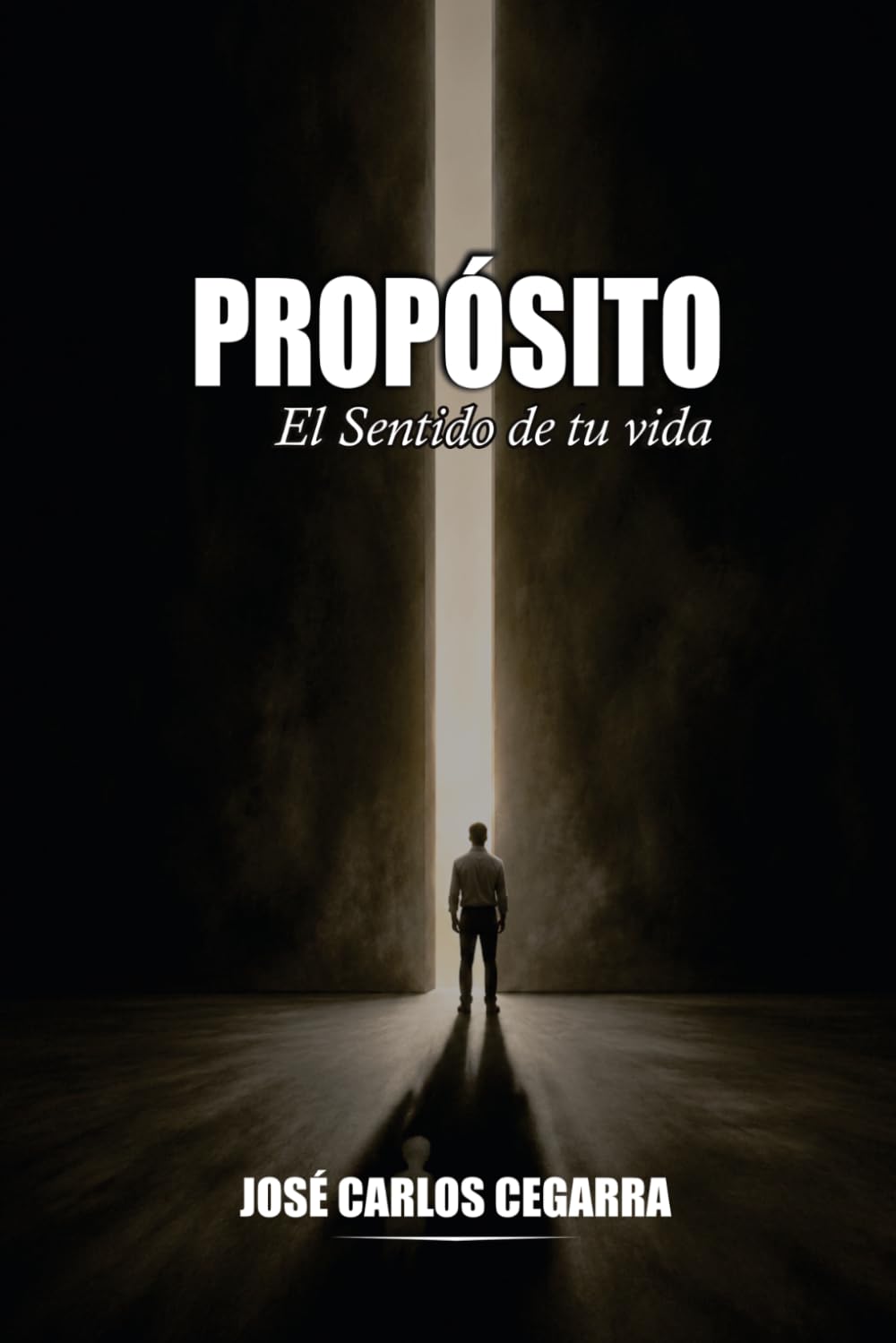 capítulo por capítulo baixar PROPÓSITO: El sentido de tu vida (Spanish Edition)