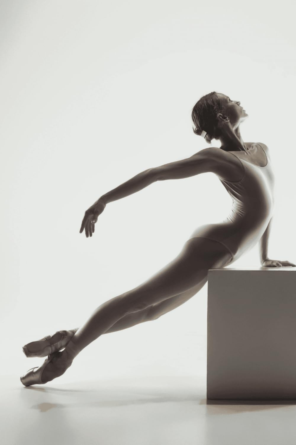 ler totalmente Ballet Journal (Ballet Foundations)