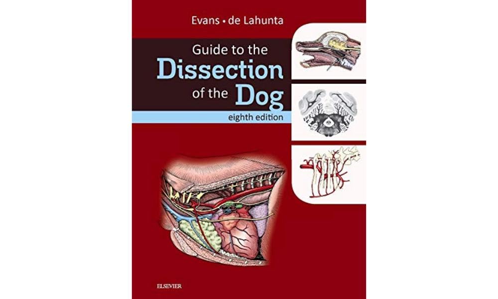 ler totalmente Guide to the Dissection of the Dog