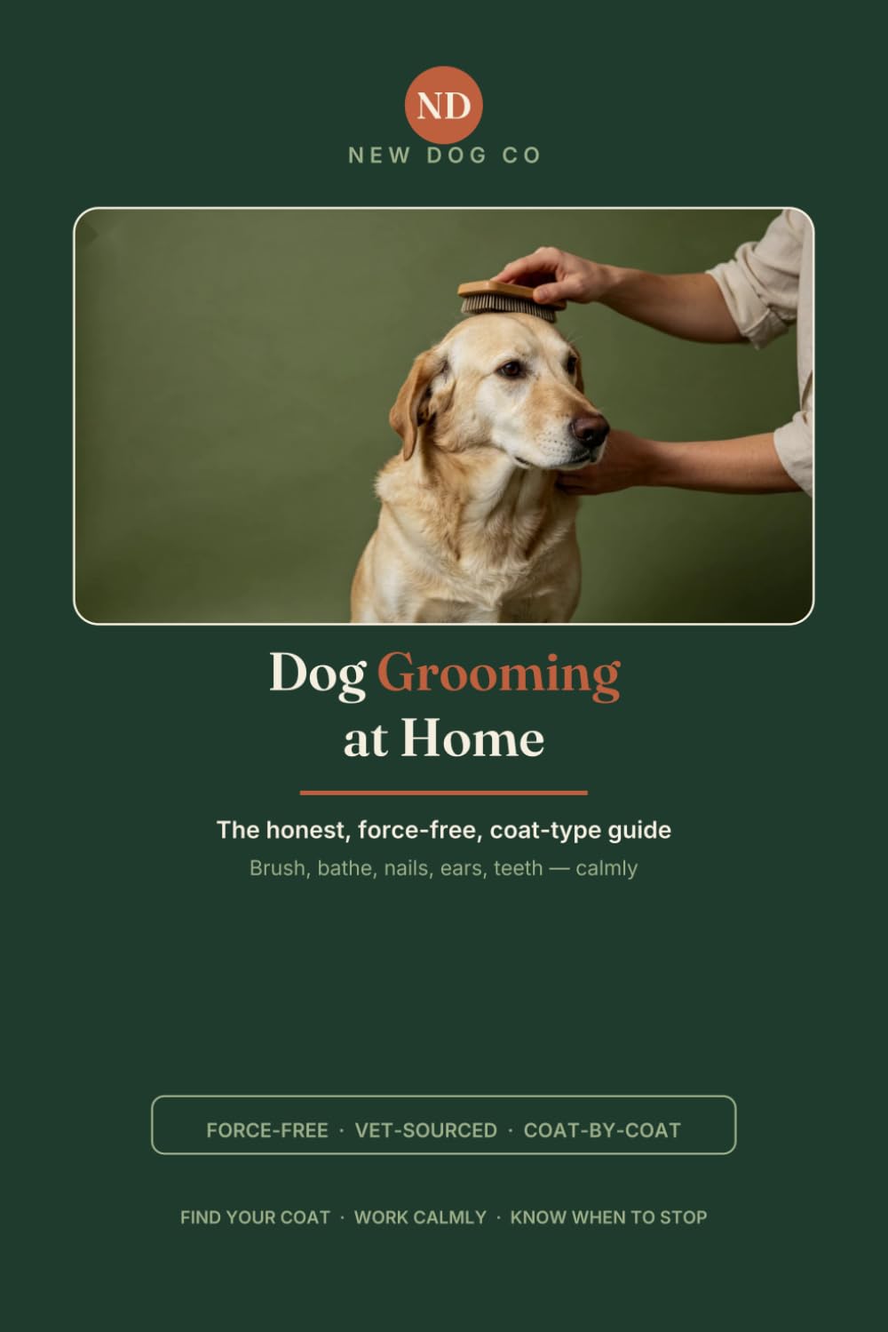 capítulo por capítulo baixar Dog Grooming at Home: An Honest, Vet-Sourced, Force-Free Guide to Brushing, Bathing, Nails, Ears, and Teeth — Coat-Type by Coat-Type