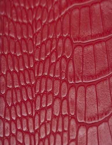 Sketchbook: Red Crocodile Leather Style Cover: Fashion Notebook,Journal,Art,Paint,150 Pages,8.5x11 Size,Drawing,Notebooks and Journals,Practice... Notebooks,Blank paper,Doodling, baixar livro de graça