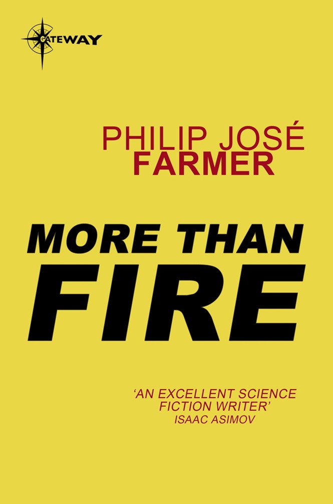 More Than Fire (English Edition)