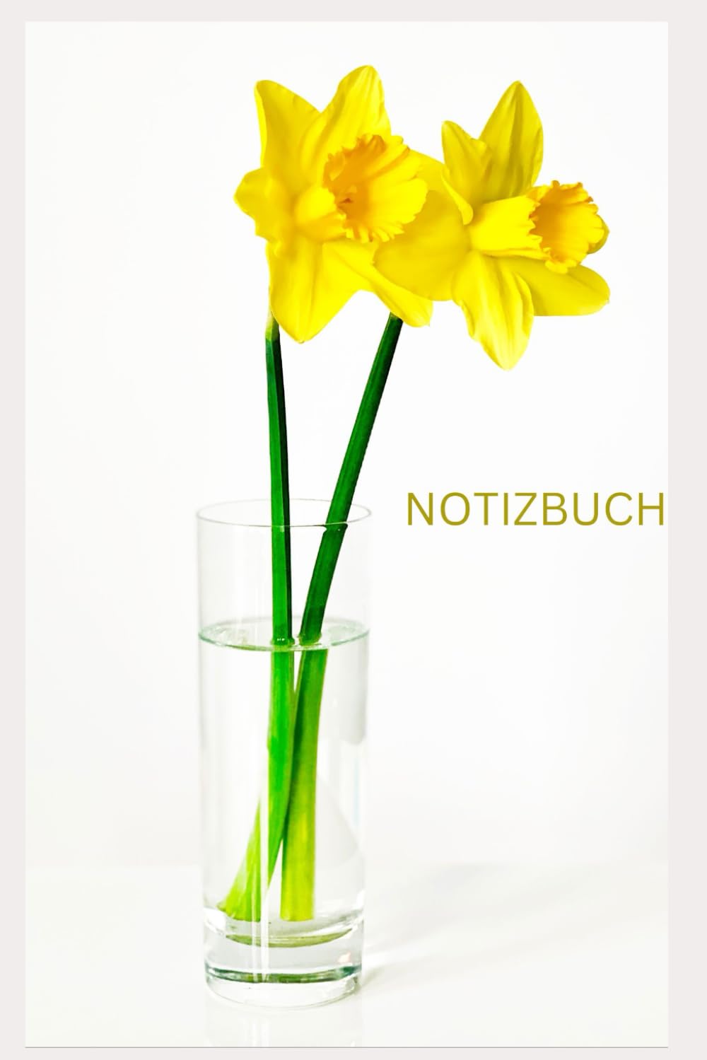 Notizbuch Narzissen, Buch: Das perfekte Geschenk für Blumen Liebhaber & Pflanzen Fans, schönes Blütenmotiv: Tagebuch, Journal, Taschenbuch, Kalender,... Blüten, Osterglocke, Blossom (German Edition) baixar o livro de graça