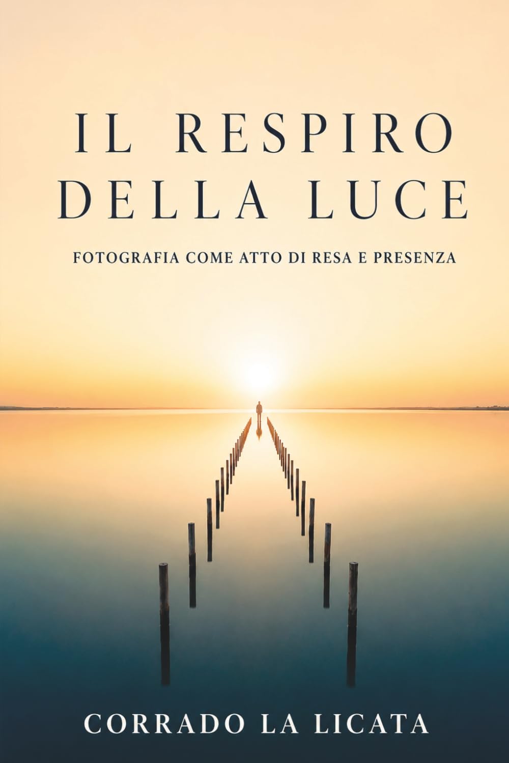 capítulo por capítulo baixar IL RESPIRO DELLA LUCE: L’arte di farsi sguardo