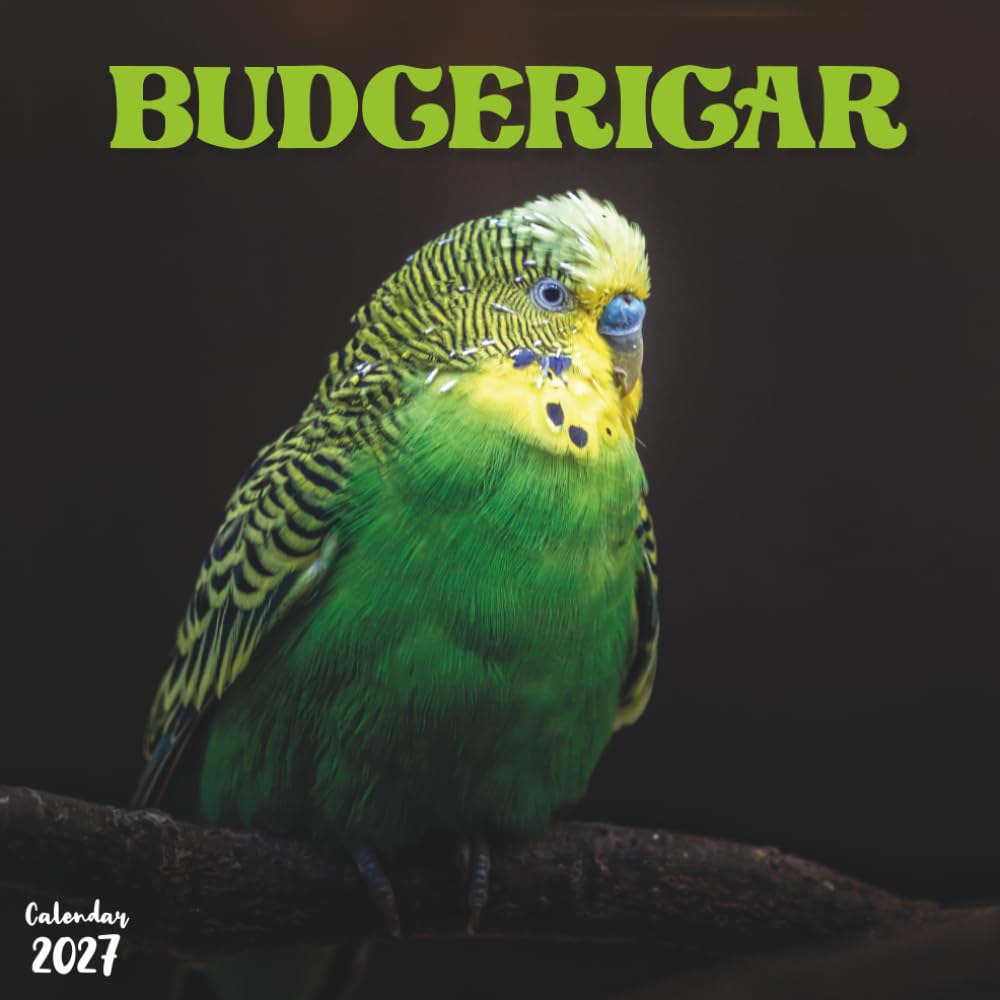 Budgerigar 2027 Calendar: 12 Months of Colorful Budgies and Feathered Friends baixar o livro de graça