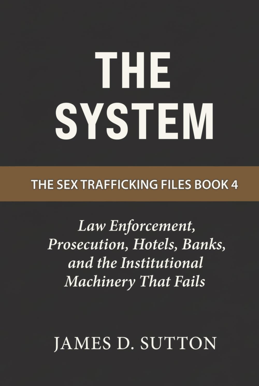 The System: Law Enforcement, Prosecution, Hotels, Banks, and the Institutional Machinery That Fails (The Sex Trafficking Files) baixar livro de graça