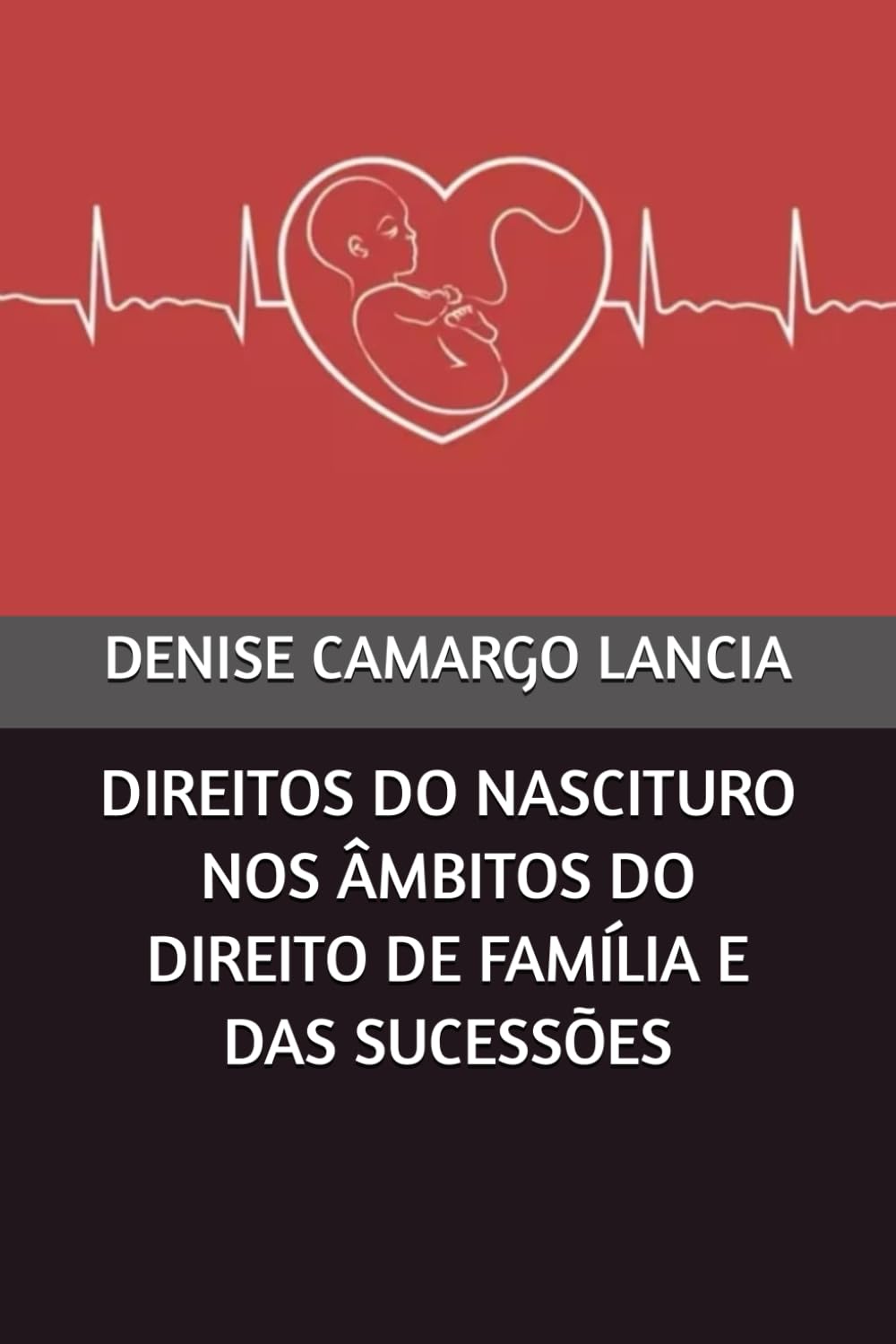 DIREITOS DO NASCITURO NOS ÂMBITOS DO DIREITO DE FAMÍLIA E DAS SUCESSÕES (Portuguese Edition) baixar livro de graça