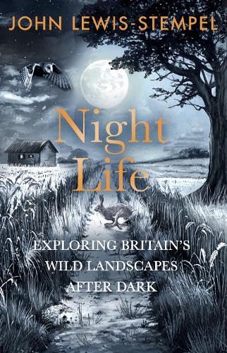 ler totalmente Night Life: Walking Britain’s wild landscapes after dark