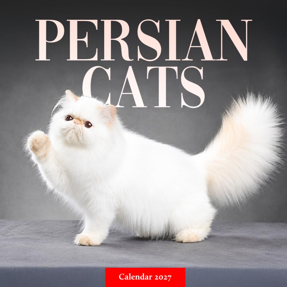 capítulo por capítulo baixar Persian Cats Calendar 2027: Longhaired Cat Photography