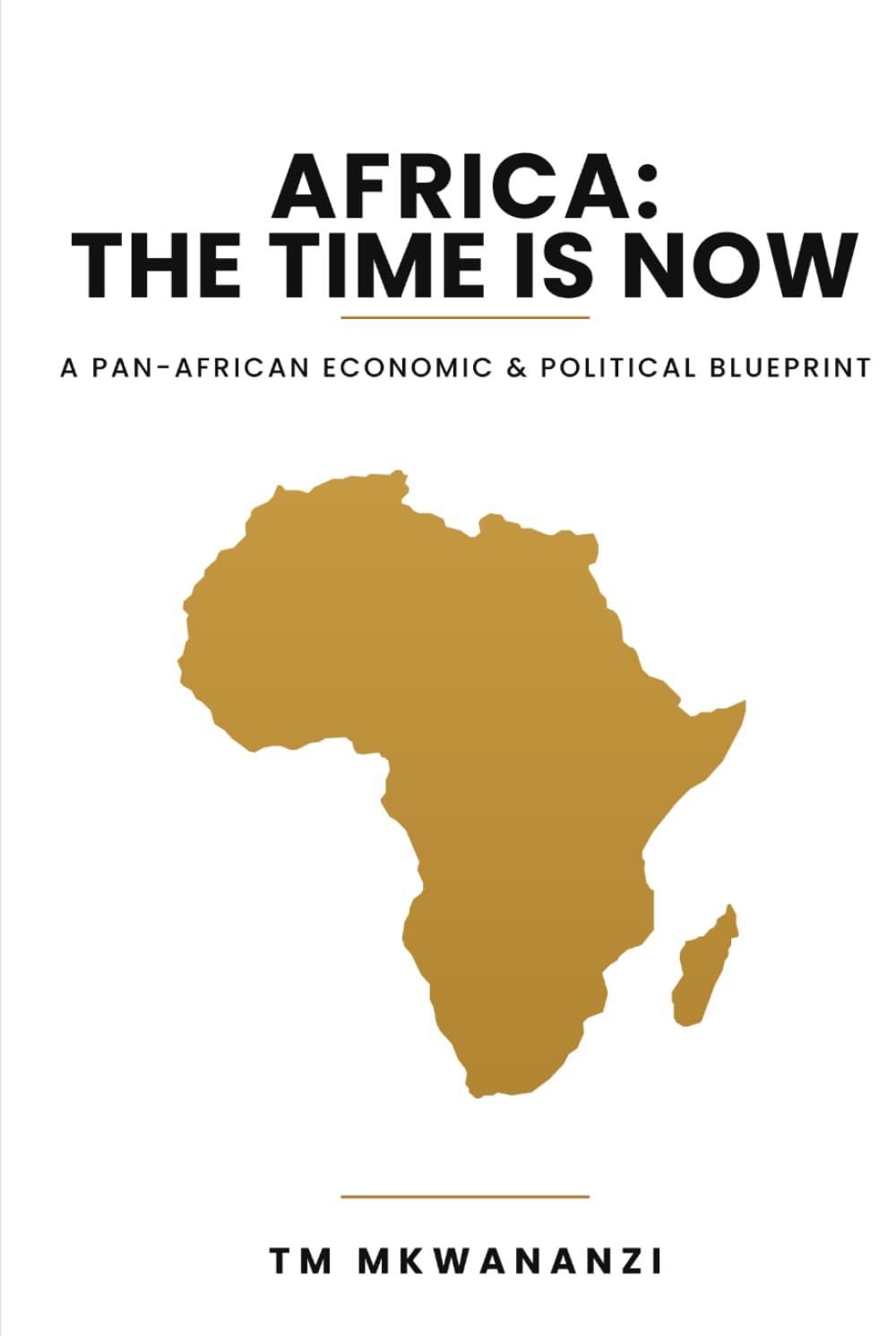 AFRICA:THE TIME IS NOW: A PAN-AFRICAN ECONOMIC,POLITICAL AND SOCIAL BLUE PRINT FOR THE CONTINENT'S RISE baixar o livro de graça