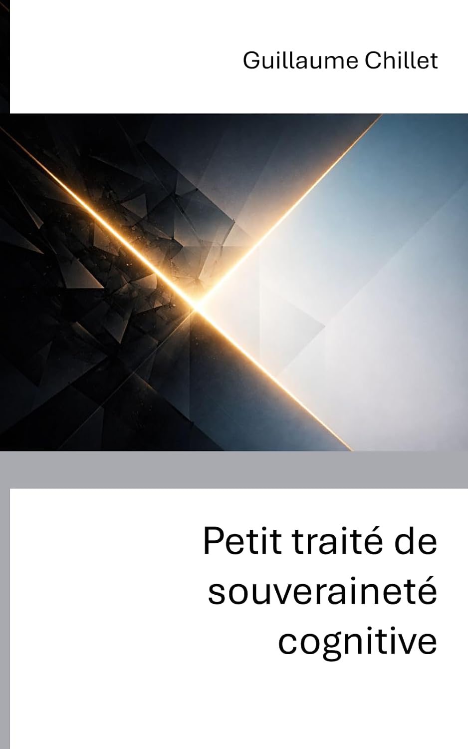 Petit traité de souveraineté cognitive baixar livro de graça