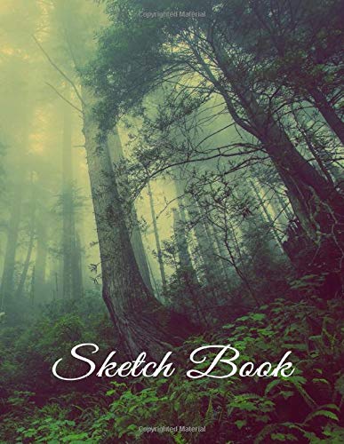 Sketch Book: 8.5" X 11", Large Sketchbook: 120 pages, Sketching, Drawing and Doodling. Notebook and Sketchbook to Draw and Journal: Sketch Book For Kids, Beginners, Adults (SketchBooks) baixar livro de graça