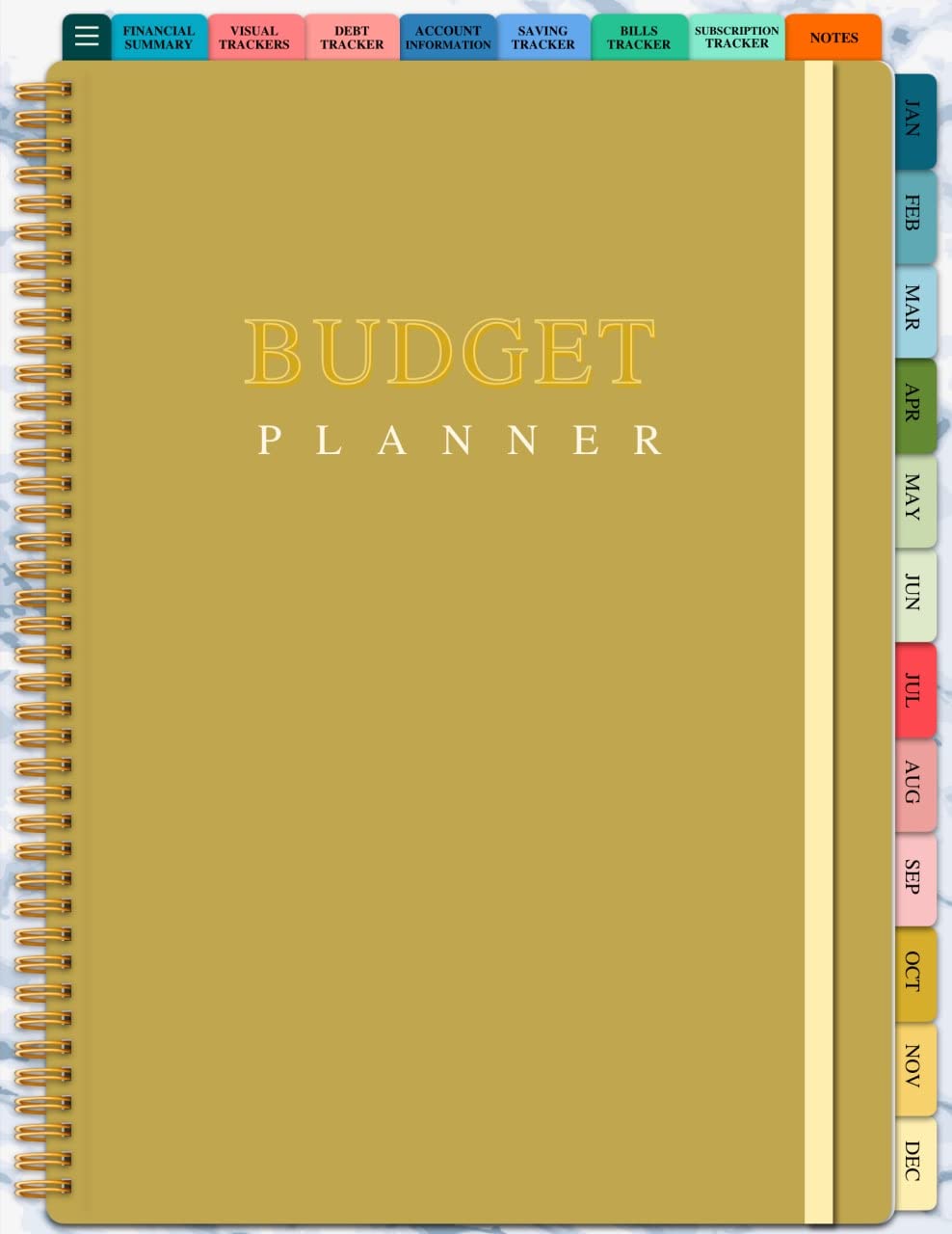 Digital Budget Planner, GoodNotes Planner, Budget Planner Printable, Finance Tracker, Finance Planner, Digital Planner for Ipad (GOLD COVER): Digital Budget Planner (English Edition) baixar livro de graça
