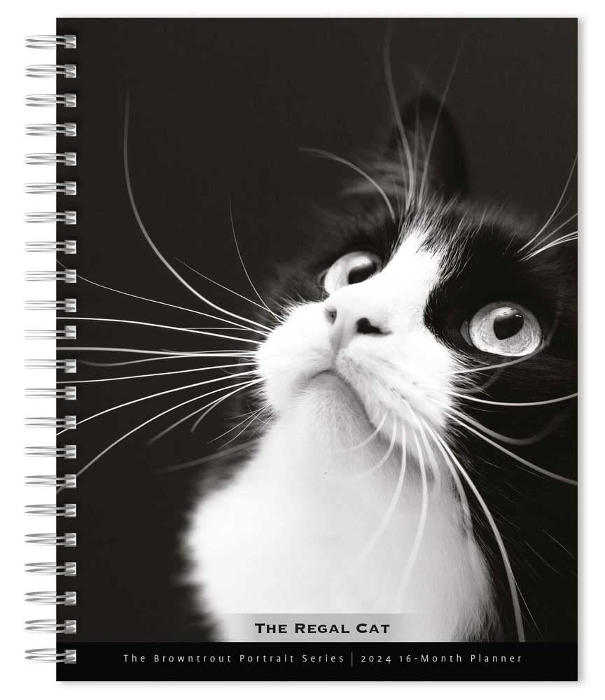 ler totalmente The BrownTrout Portrait Series: The Regal Cat | 2024 6 x 7.75 Inch Spiral-Bound Wire-O Weekly Engagement Planner Calendar | New Full-Color Image Every Week | Pet Kitten Feline
