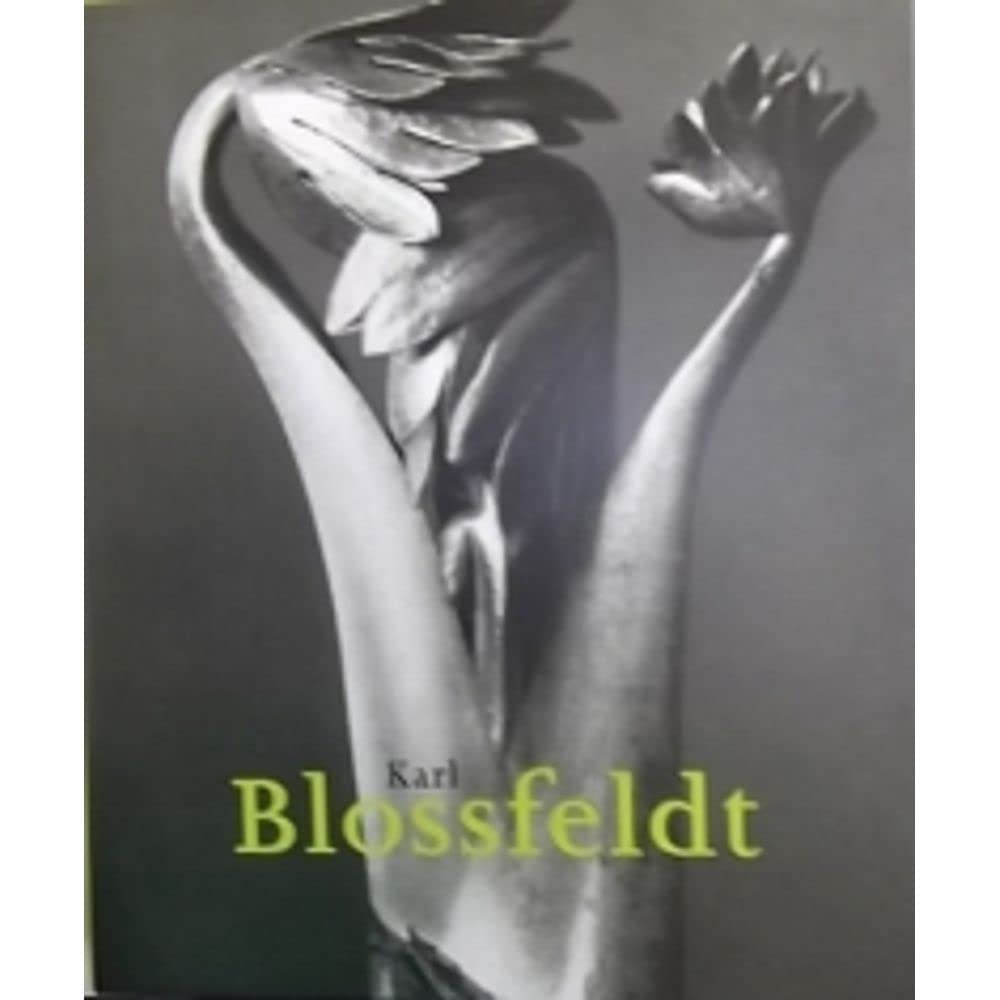 Karl Blossfeldt baixar o livro de graça