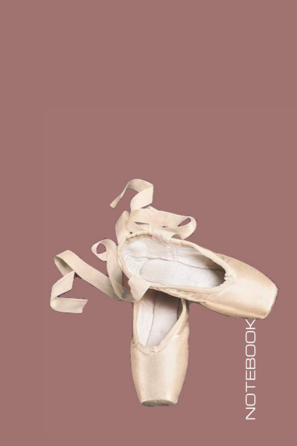 capítulo por capítulo baixar Notebook: Ballet Shoes Pink Background Theme Cover Journal Cahier: 6 x 9 120 Lined Pages Notebook for Notes, Ideas, Sketches, Observations