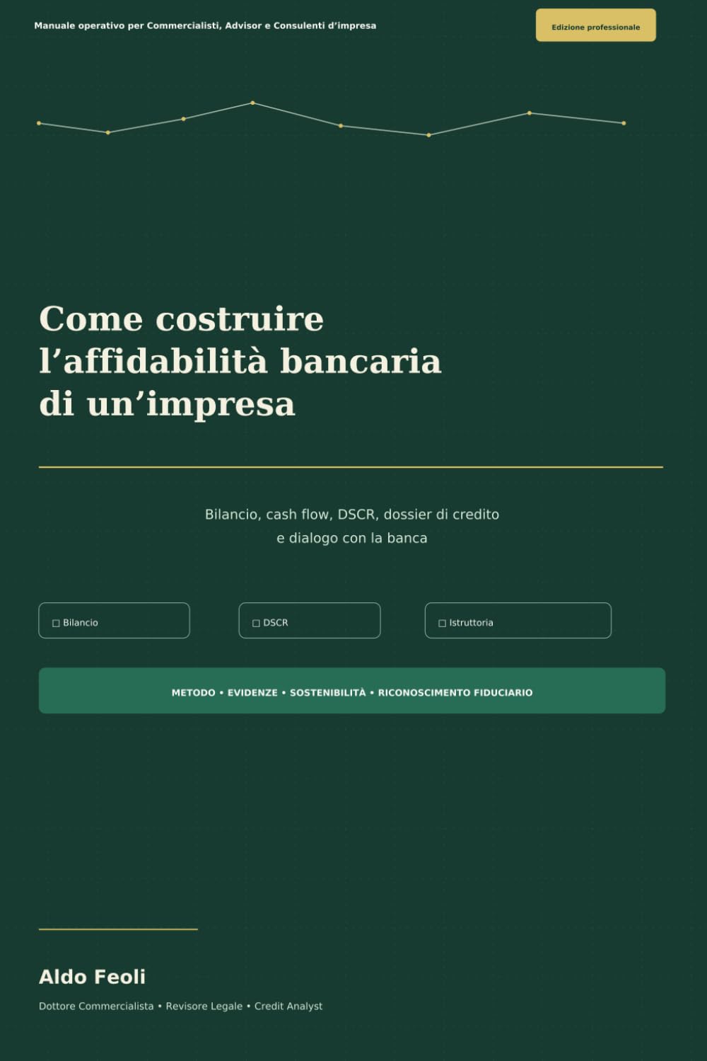 Come costruire l’affidabilità bancaria di un’impresa: Manuale operativo per Commercialisti, Advisor e Consulenti d’impresa (Risk Management & Advisory Professionale.) (Italian Edition) baixar livro de graça