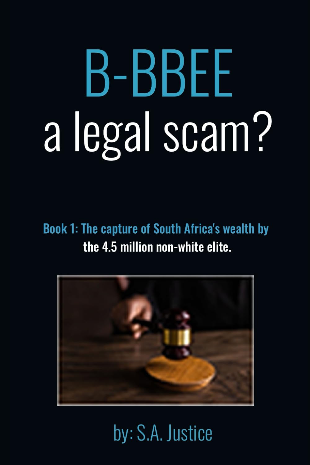 Social Justice? Book 1: The capture of South Africa's wealth by the 4.5 million non-white elite. baixar o livro de graça