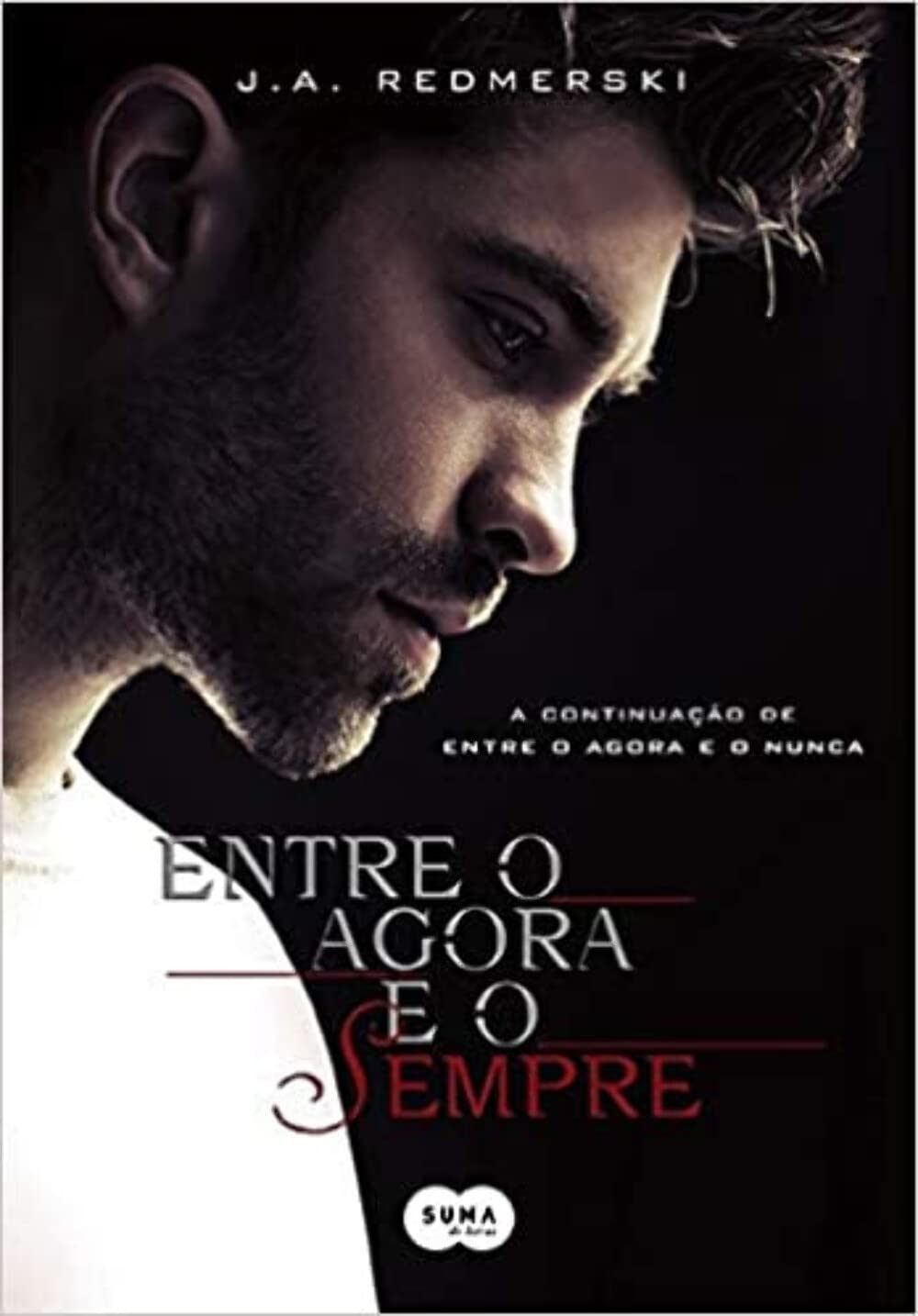 Entre o agora e o sempre baixar o livro de graça