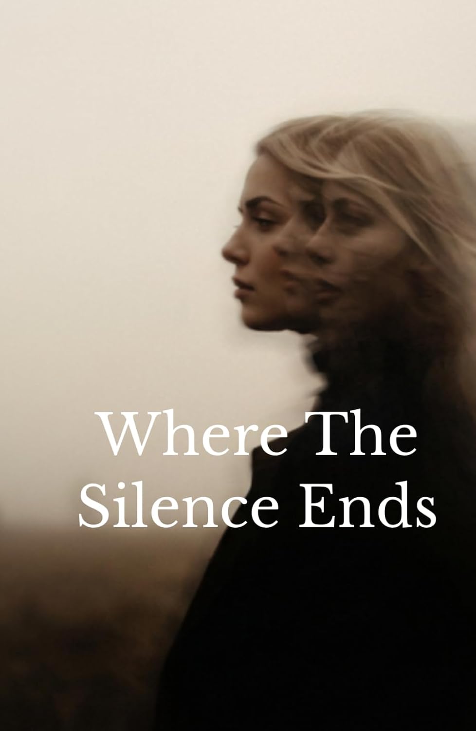 Where The Silence Ends baixar livro de graça