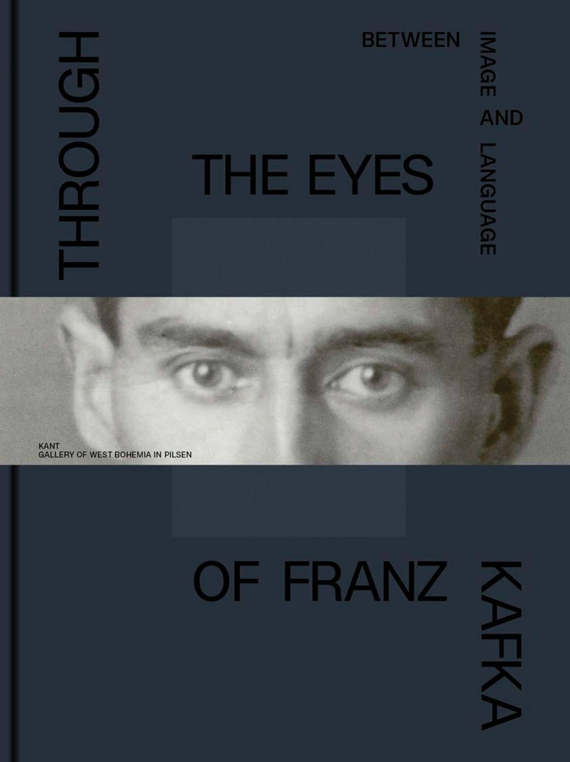 ler totalmente Through the Eyes of Franz Kafka: Between Image and Language