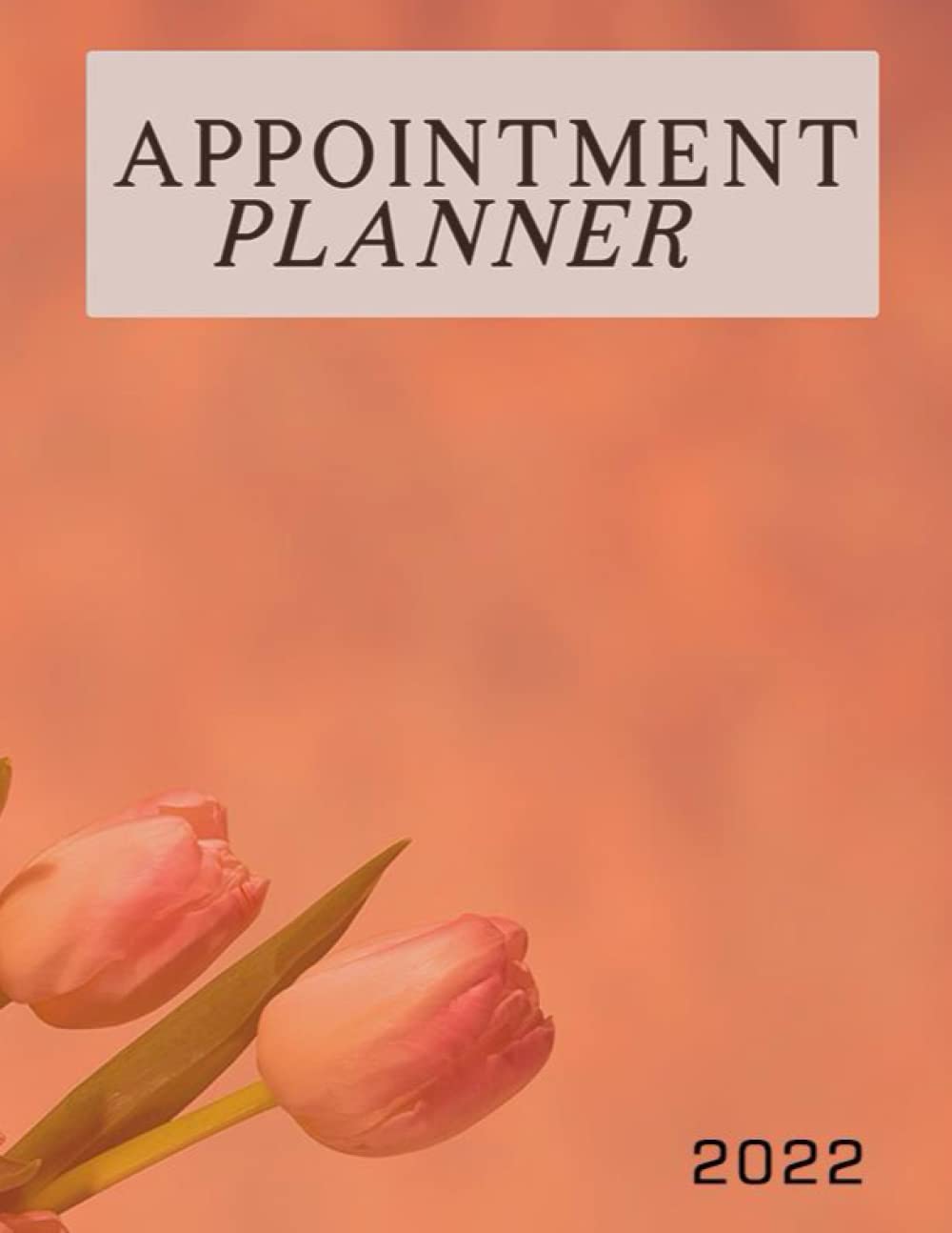 Floral Appointment Book 2022: Floral cover weekly and hourly planner with 15 minutes increment| Undated| 8.5"×11"| 120 pages| For employees, entrepreneurs, men and women. baixar livro de graça