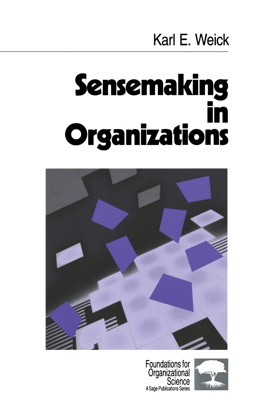 capítulo por capítulo baixar Sensemaking in Organizations: 3