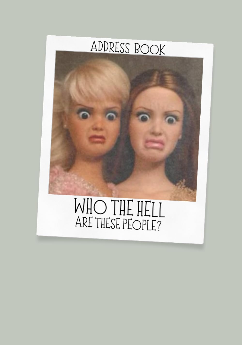 Address Book with Alphabetical Tabs: Who the Hell are these People? (Large Print) baixar o livro de graça