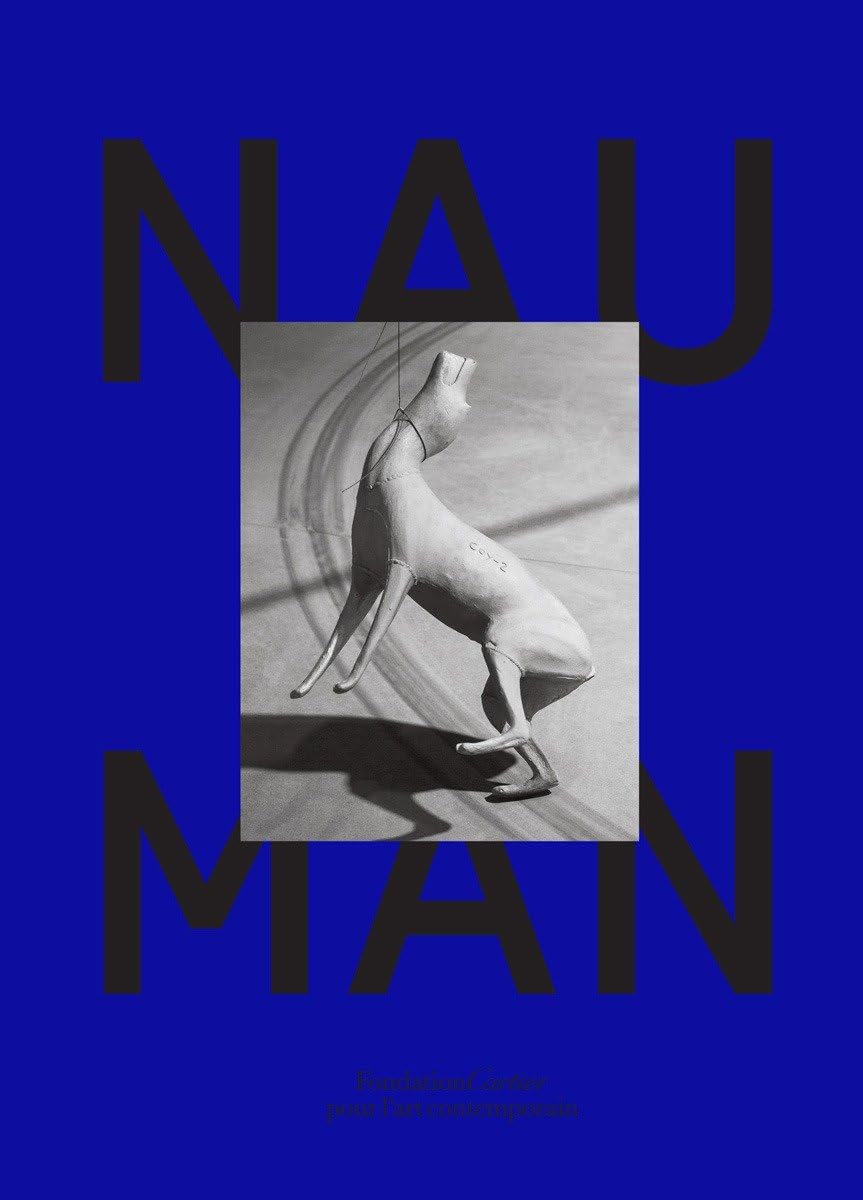 Bruce Nauman baixar o livro de graça