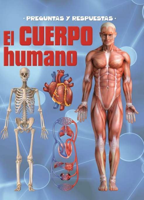 PREGUNTAS Y RESPUESTAS EL CUERPO HUMANO baixar livro de graça