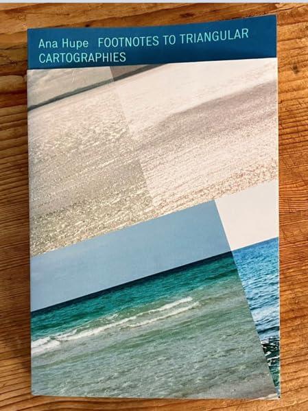 capítulo por capítulo baixar Footnotes to Triangular Cartographies - Processing Process