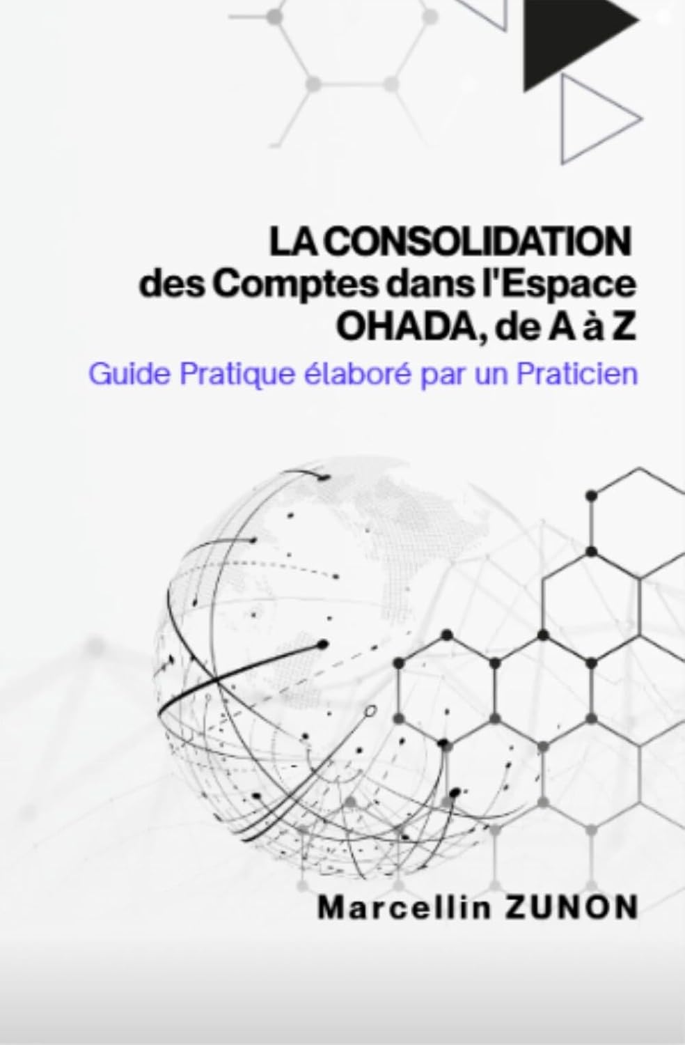 La Consolidation des Comptes dans l'Espace OHADA, de A à Z: Guide Pratique élaboré par un Praticien (French Edition) baixar livro de graça
