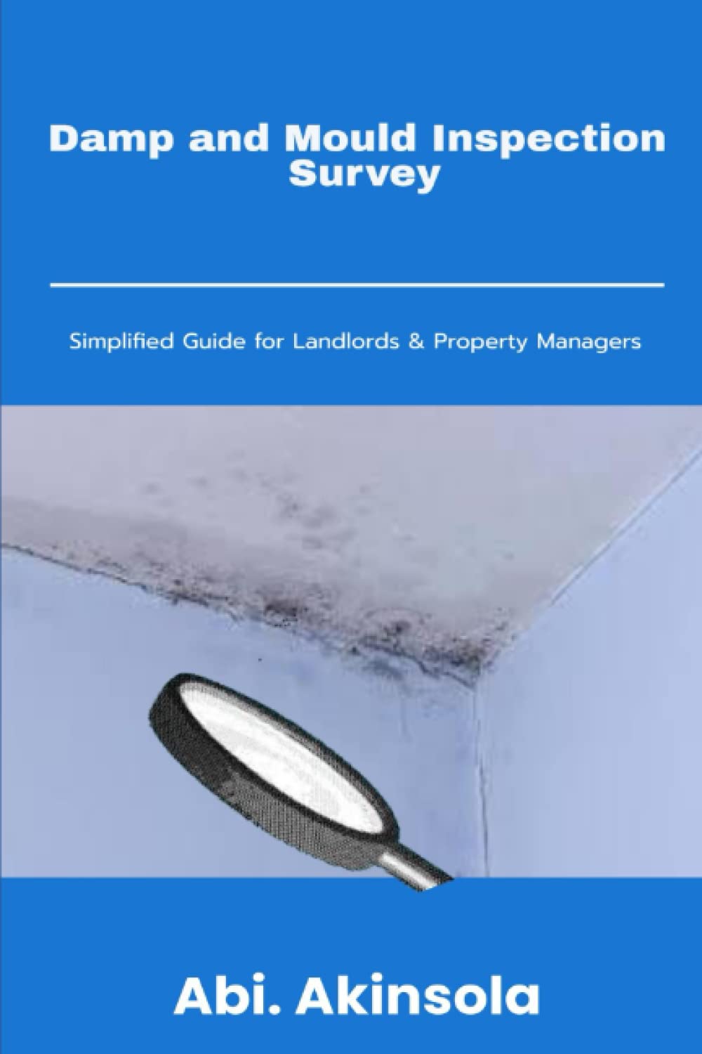 capítulo por capítulo baixar Damp and Mould Inspection Survey: Simplified Guide for Landlords and Property Managers