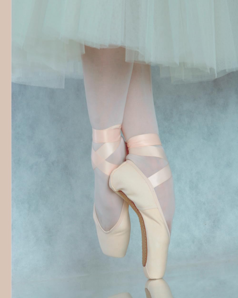 Ballet Dreams in Pink: Elegant 125 Pink Blank Pages Notebook with Ballerina Line-Art on Each Page and Stunning Ballet Photo on Cover baixar o livro de graça