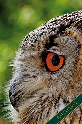 Falcoaria: coruja orelhuda. Formato A5, 120 páginas, cinza discreto alinhado. Entradas diárias, notas e diário, caderno e recolha de ideias para o falcoeiro, o falcoeiro, amigos da natureza e aves. baixar o livro de graça