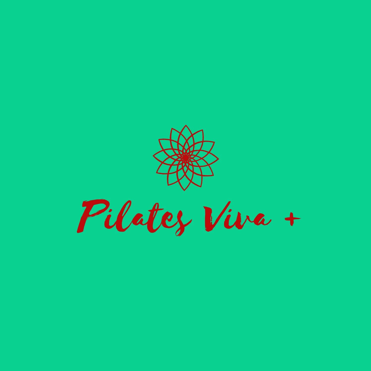 Pilates viva mais baixar o livro de graça