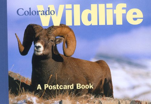 Colorado Wildlife: A Postcard Book (Postcard Books)