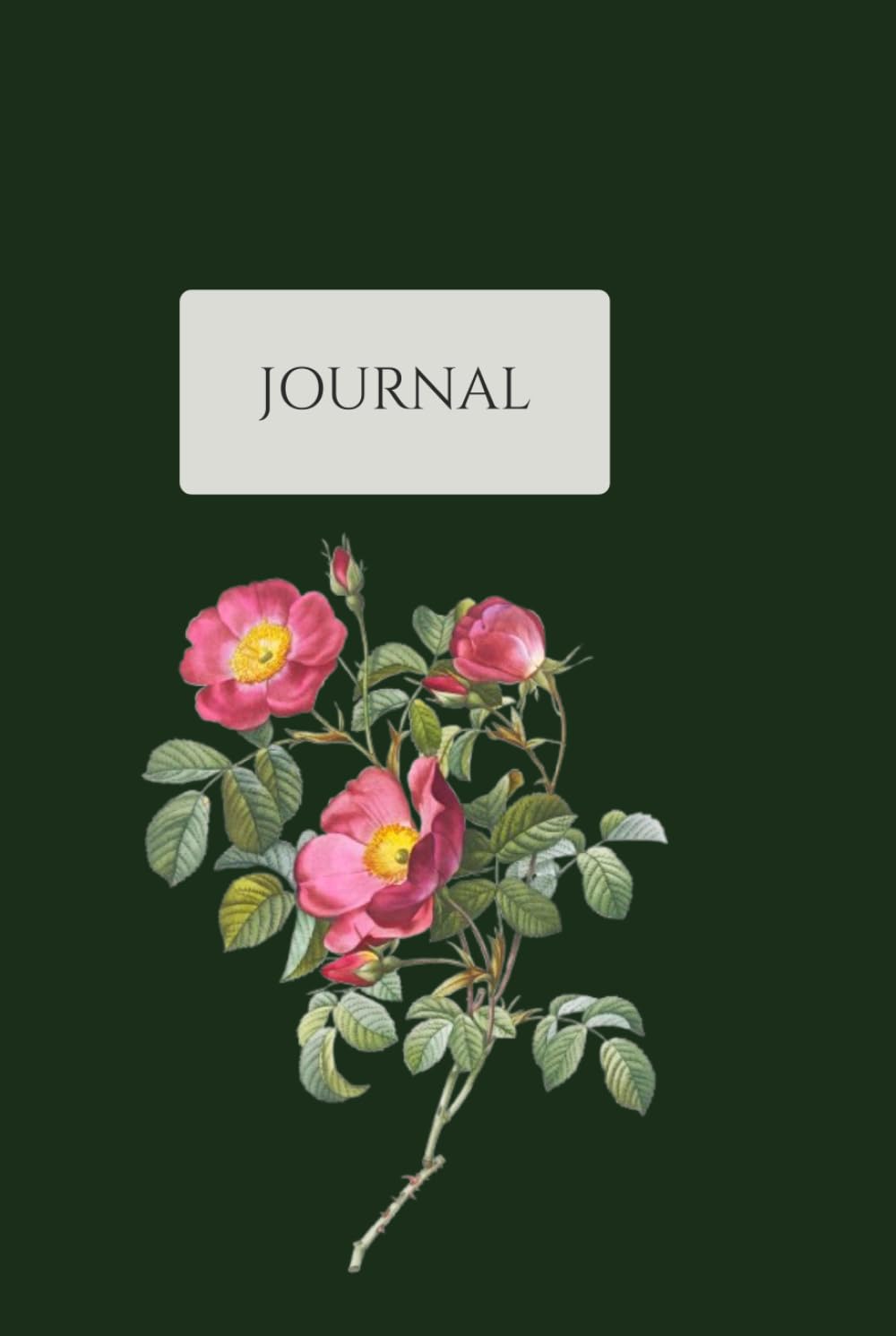 ler totalmente Vintage Botanical Journal: Volume 10 of 12 - Premium Hardcover Combined Lined & Sketch Notebook with Cream Paper, 150 Pages - Antique Victorian Floral Illustration Aesthetic Diary for Writing and Art