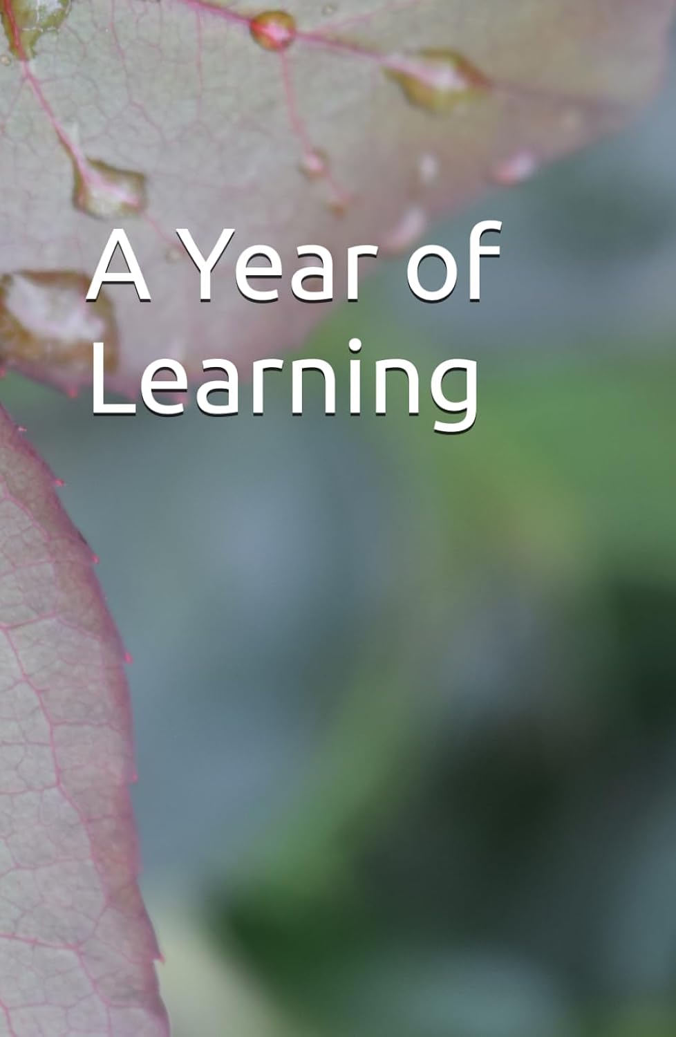 ler totalmente A Year of Learning